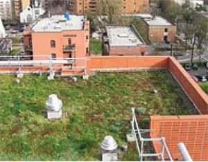 A green roof on an apartment building in Portland, Oregon. (Photo courtesy of Portland Bureau of Environmental Services)