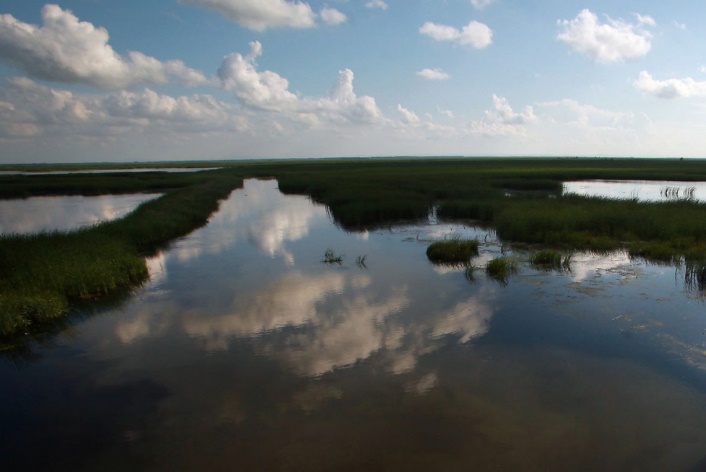 Wetlands offer protection from storm surges and flooding brought on by hurricanes and other major storms. File photo by Stephen Shaver/UPI