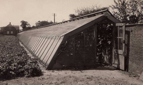Dutch greenhouse 1930s