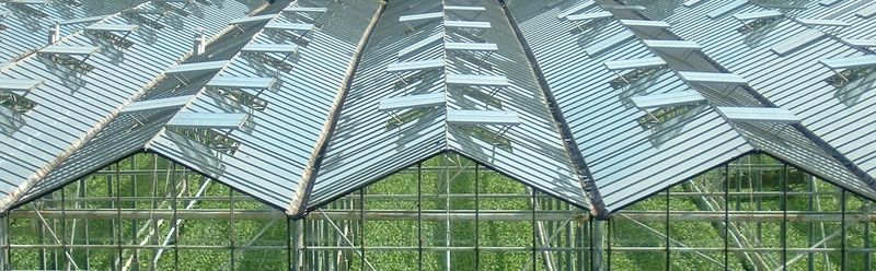 Dutch style all glass greenhouse