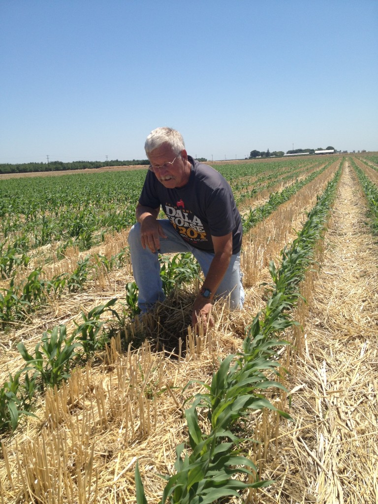 Farmer Jeff Mitchell in Field with Conservation Tillage and Cover Crops