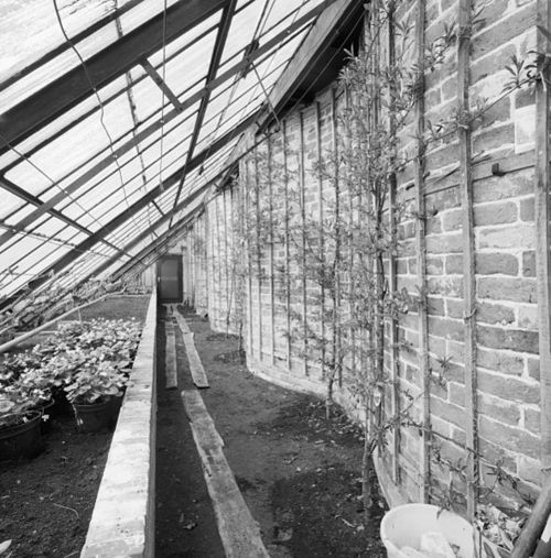Greenhouse against the wall