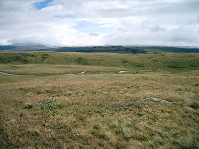 Image result for mammoth steppe