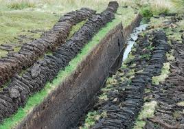 Image result for peat