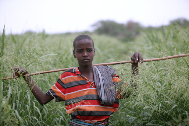 Pastoralist in Afar, Ethiopia. (©FAO/AU/Yohannes Zirotti)