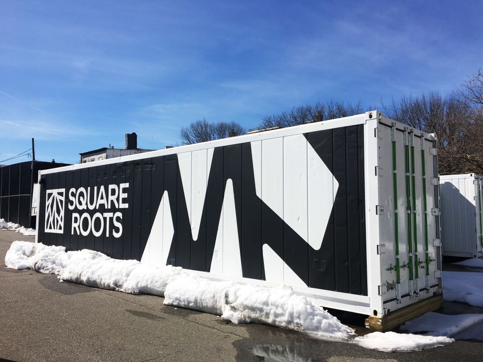 Ten shipping containers like this house Square Roots' local farming initiative in Brooklyn, New York.